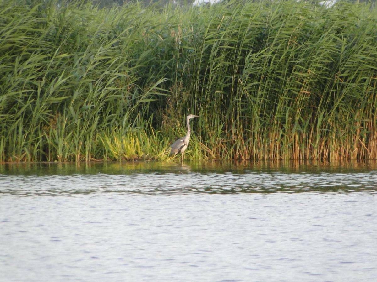 Zacisze Domki Letniskowe Karsibor Świnoujście Extérieur photo