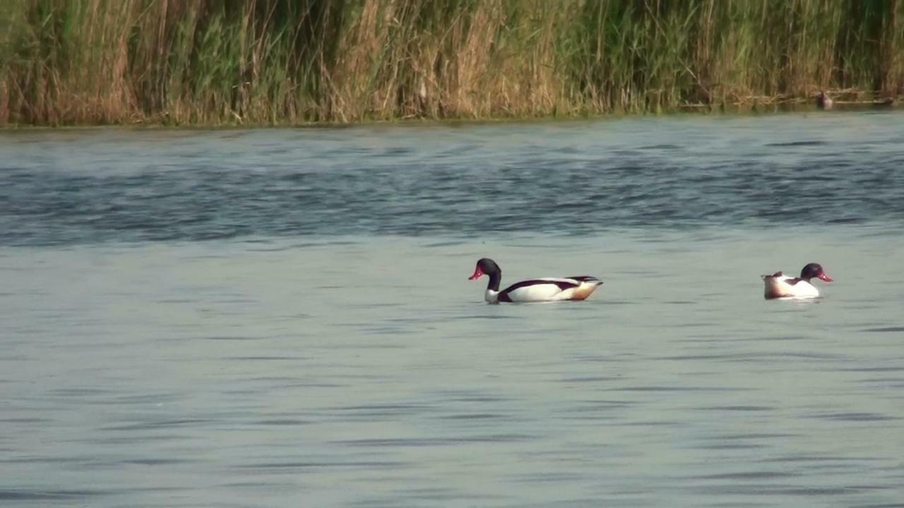 Zacisze Domki Letniskowe Karsibor Świnoujście Extérieur photo