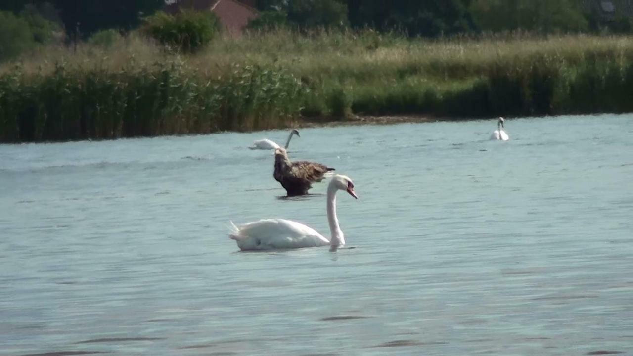 Zacisze Domki Letniskowe Karsibor Świnoujście Extérieur photo