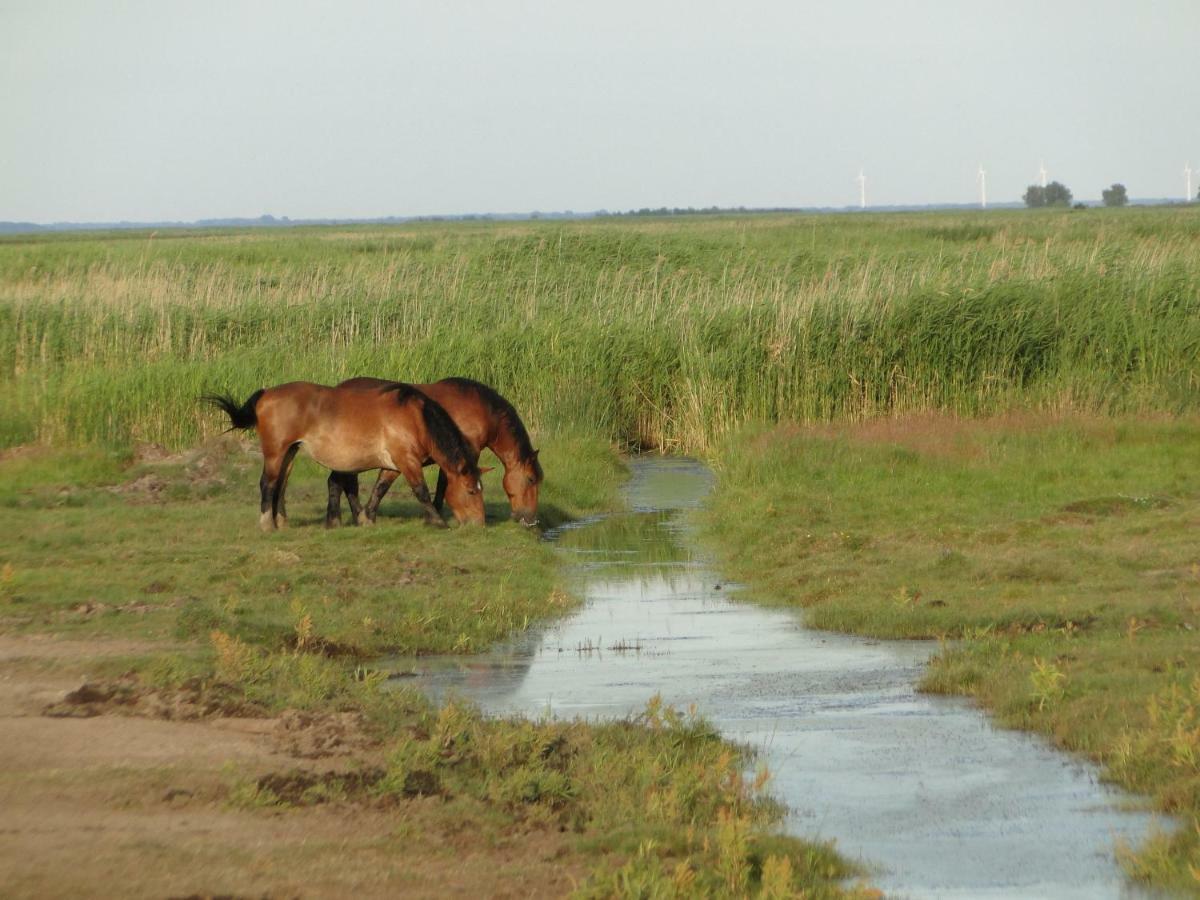 Zacisze Domki Letniskowe Karsibor Świnoujście Extérieur photo